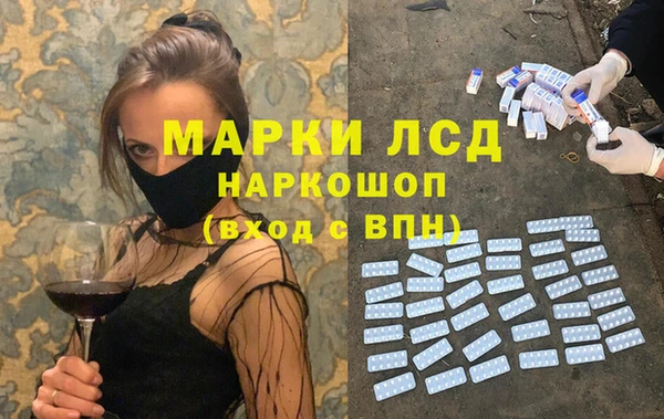 индика Алзамай