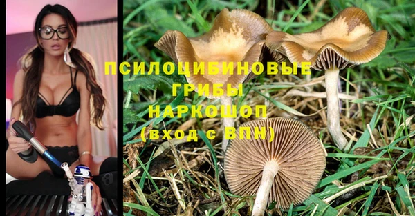 apvp Алексеевка