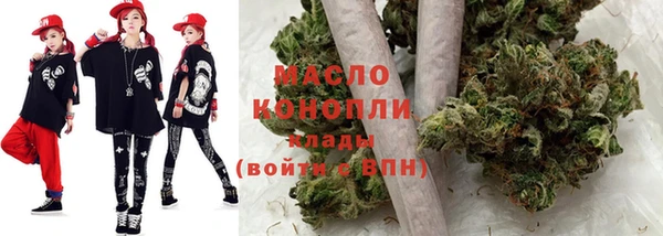 индика Алзамай
